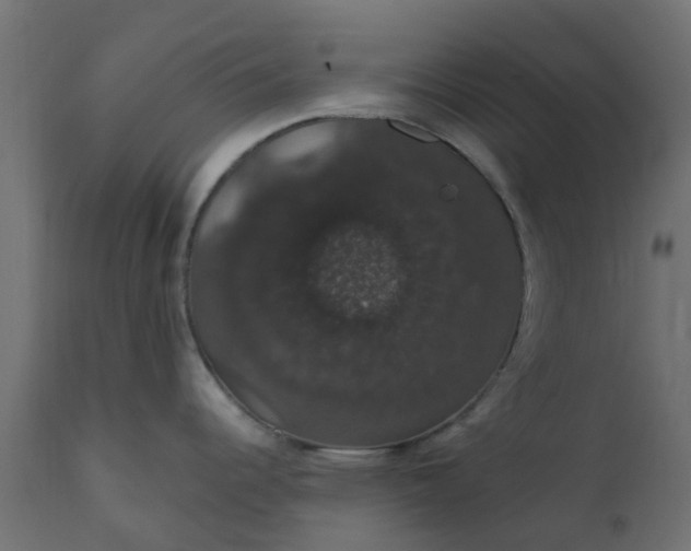 X0000110701344200906261359