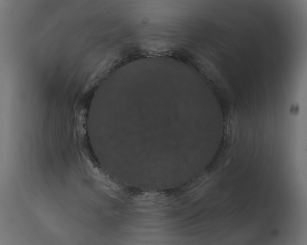 X0000110701346200906261358