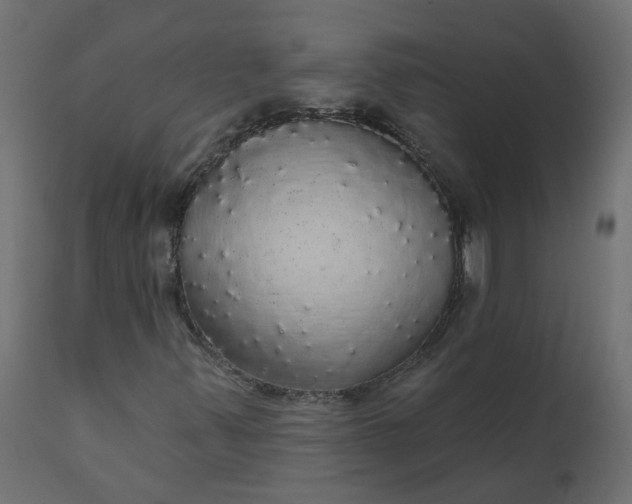 X0000110701347200906261358