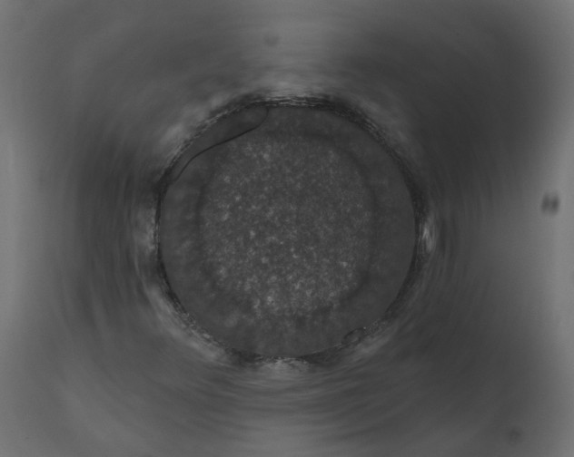 X0000110701348200906261358