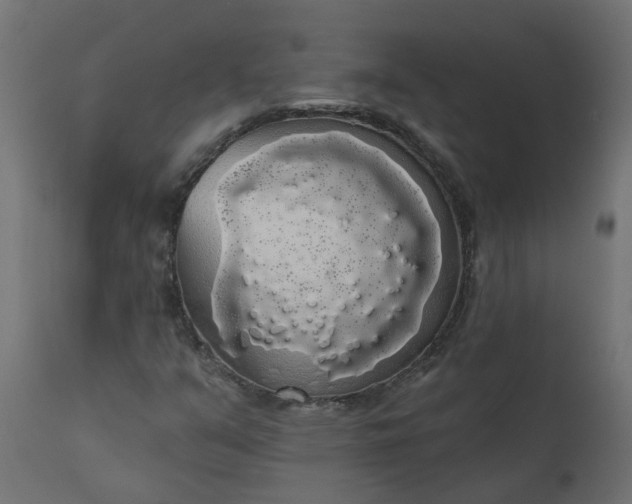 X0000110701351200906261358