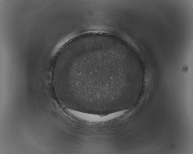 X0000110701352200906261358