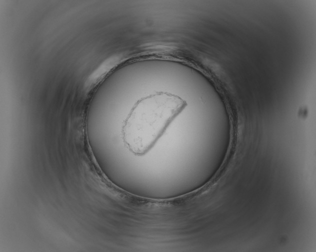 X0000110701354200906261358