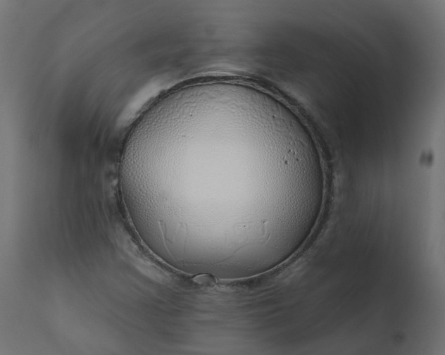 X0000110701355200906261358