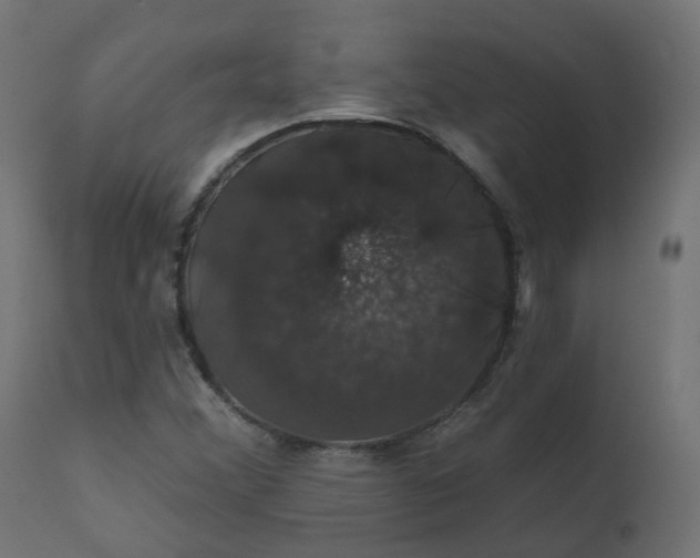 X0000110701356200906261358