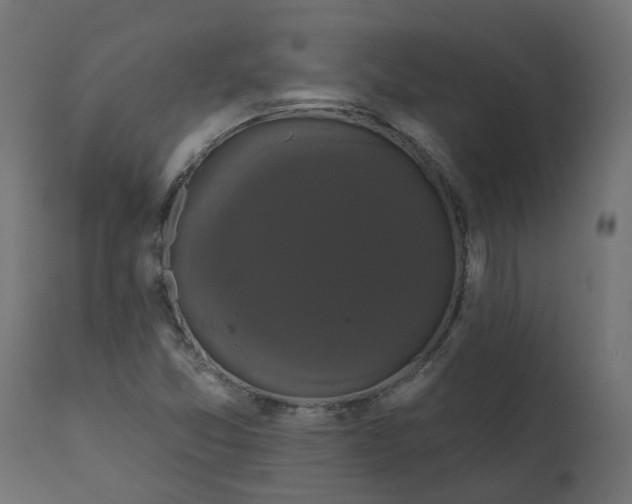 X0000110701357200906261358