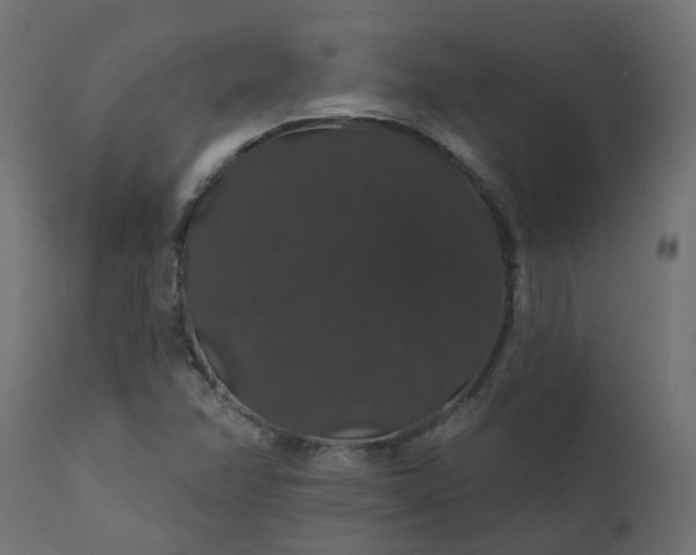 X0000110701358200906261358