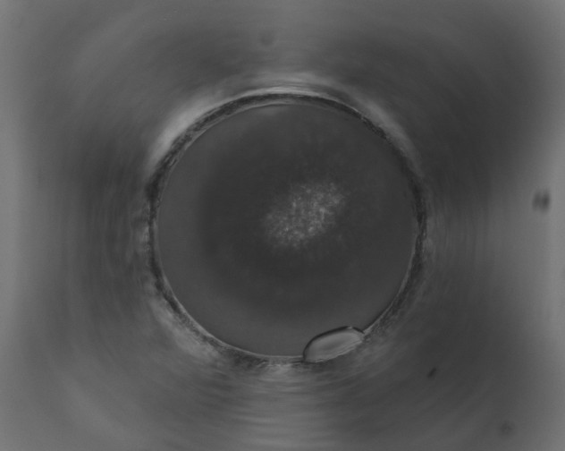 X0000110701360200906261358