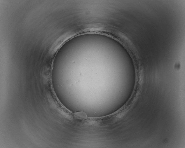 X0000110701361200906261358