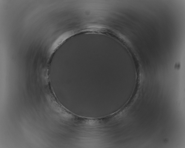 X0000110701362200906261358