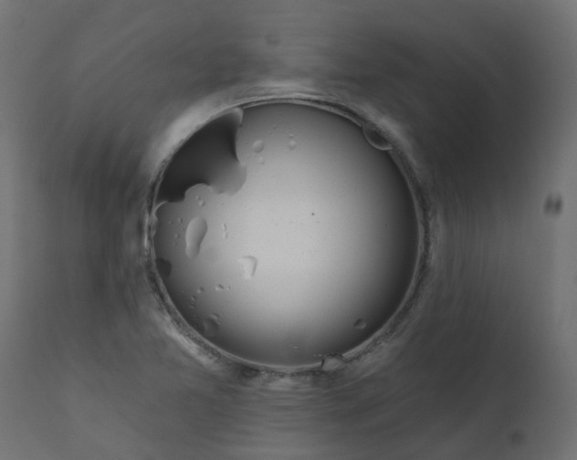 X0000110701365200906261357