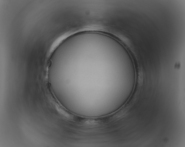X0000110701366200906261357
