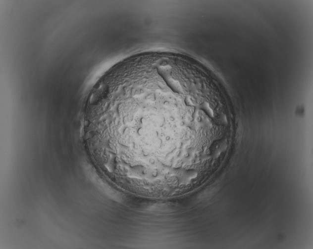 X0000110701367200906261357
