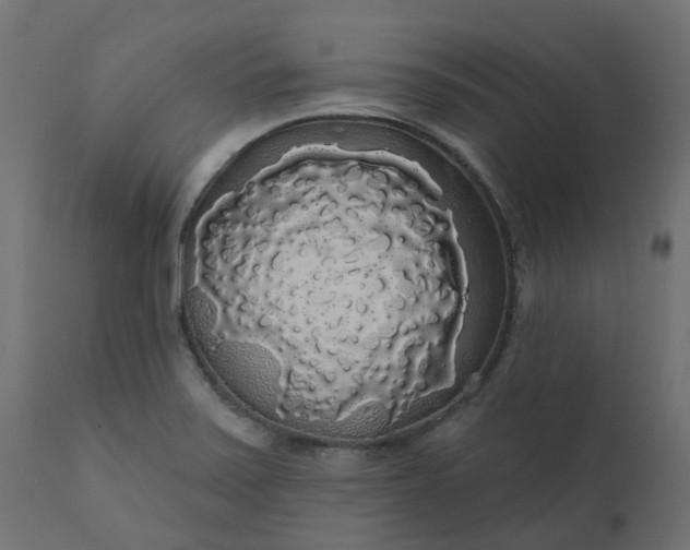X0000110701371200906261357