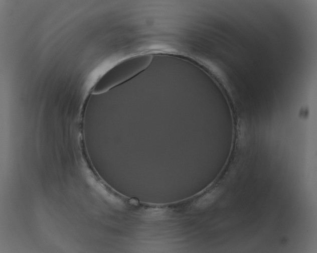 X0000110701373200906261357