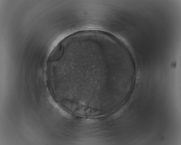 X0000110701374200906261357