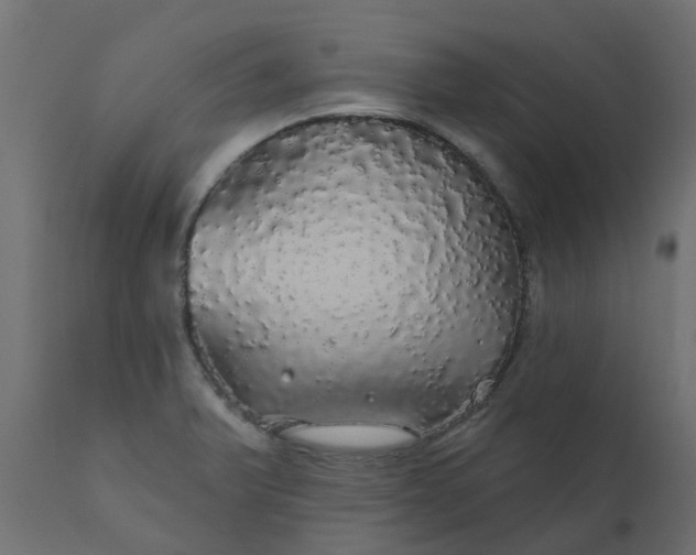 X0000110701375200906261357