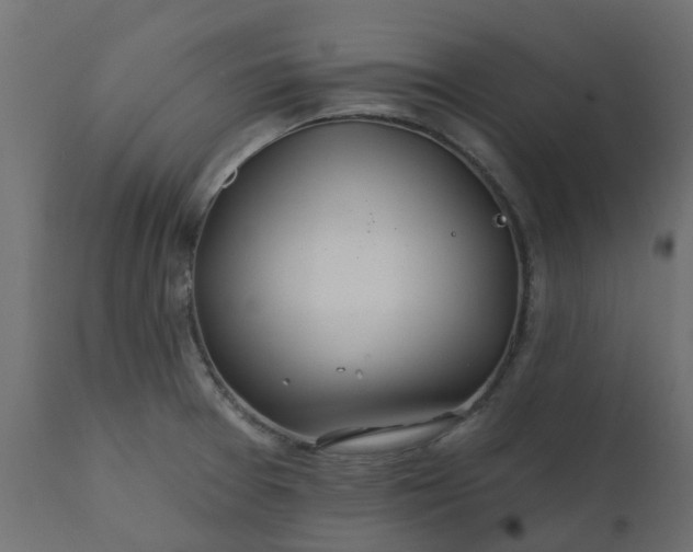 X0000110701377200906261357