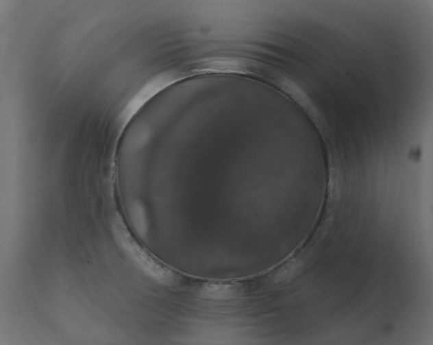 X0000110701378200906261357