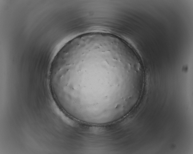 X0000110701379200906261357