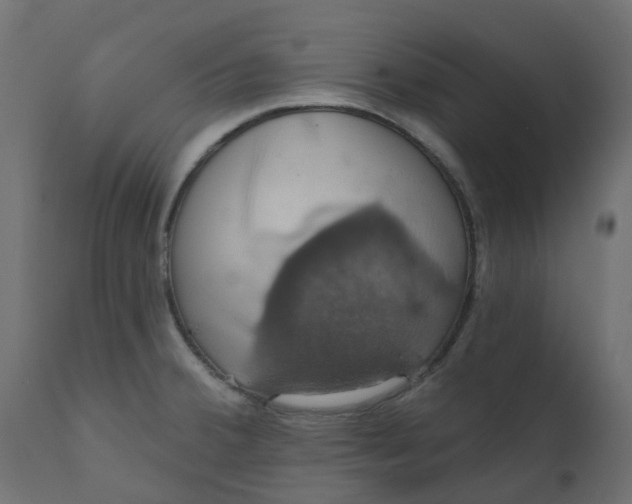X0000110701380200906261357