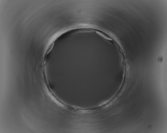 X0000110701381200906261357