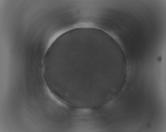 X0000110701382200906261357