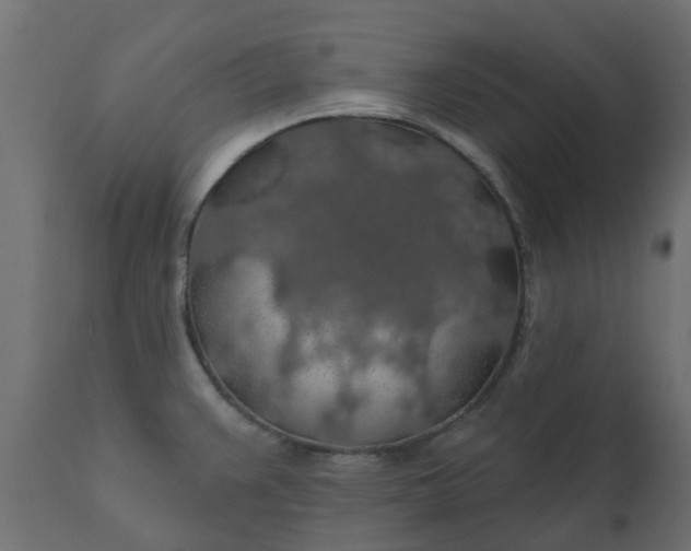 X0000110701383200906261357