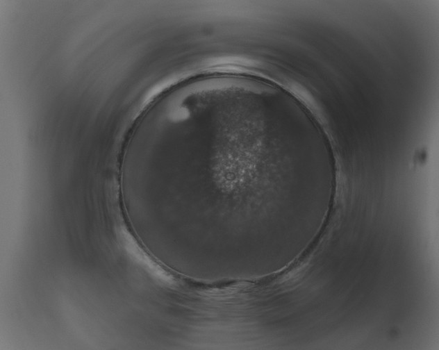 X0000110701384200906261357