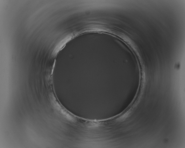 X0000110701385200906261357