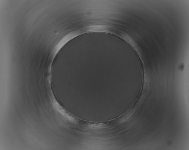 X0000110701386200906261357