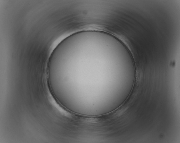 X0000110701387200906261357