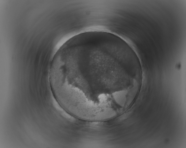 X0000110701390200906261357
