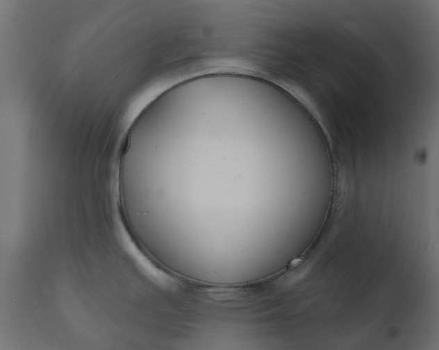 X0000110701391200906261357