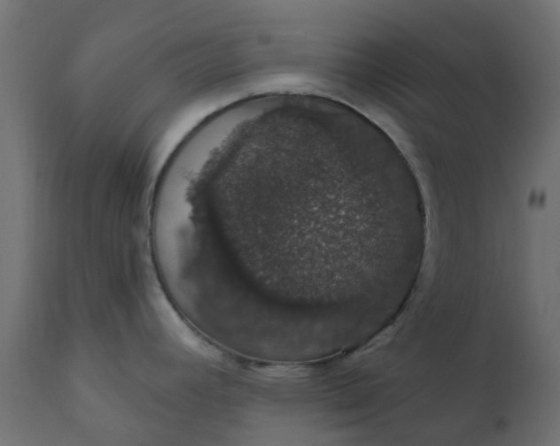 X0000110701392200906261357