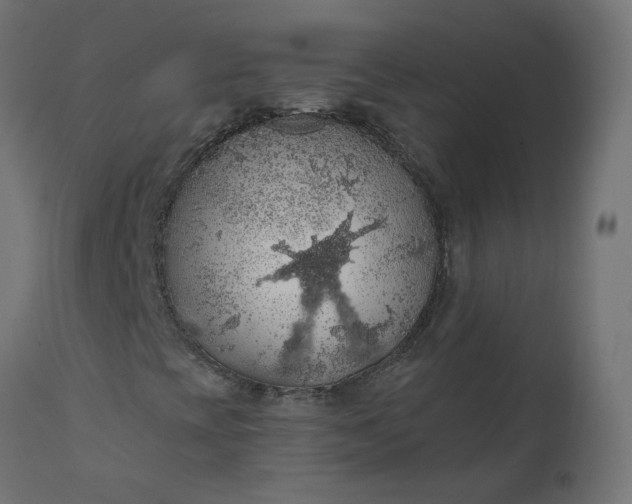 X0000110701393200906261356