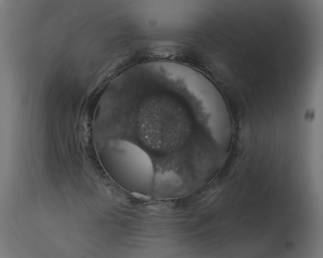 X0000110701394200906261356