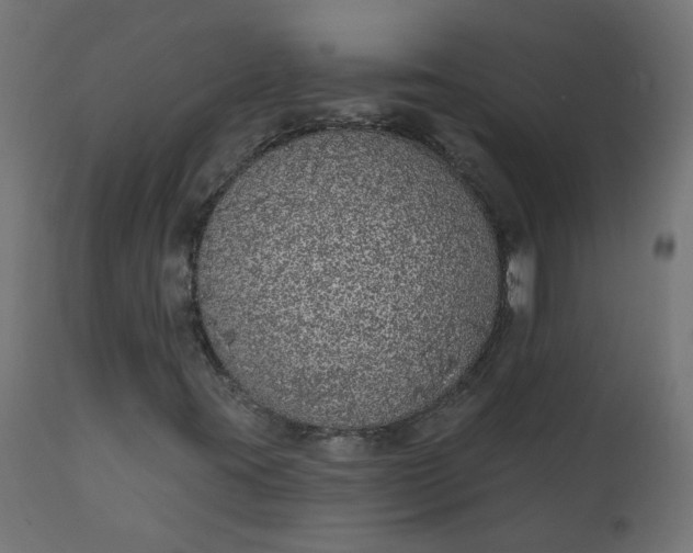 X0000110701395200906261356