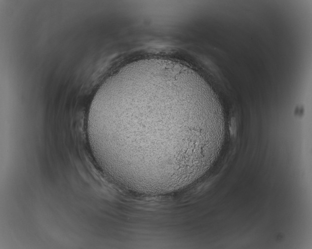 X0000110701396200906261356