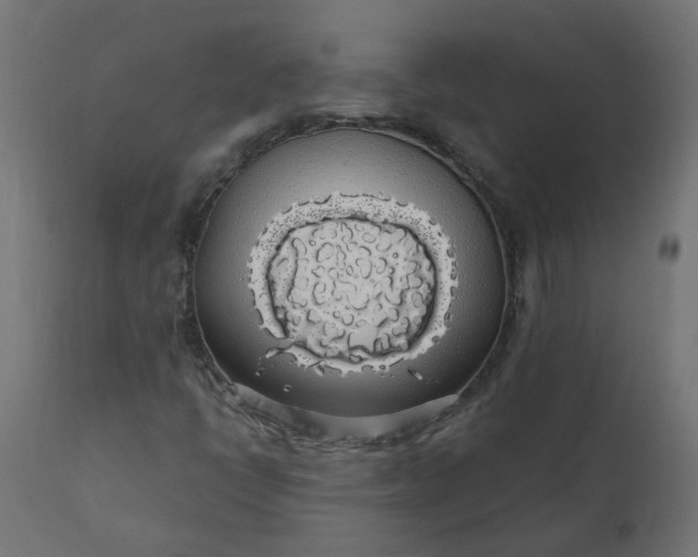 X0000110701398200906261357