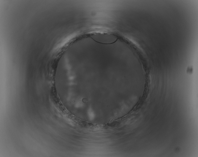 X0000110701399200906261357