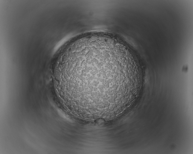 X0000110701400200906261357
