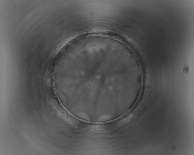 X0000110701401200906261357
