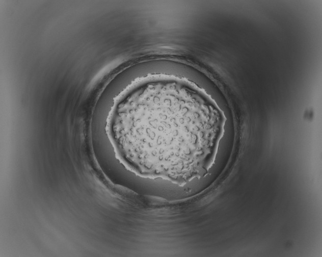 X0000110701402200906261357