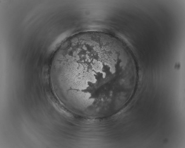 X0000110701403200906261357