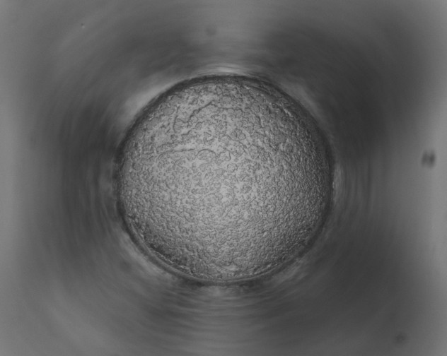 X0000110701404200906261357