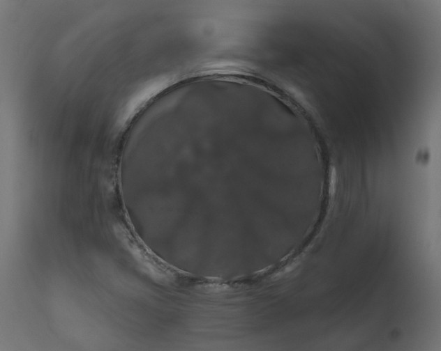 X0000110701405200906261357
