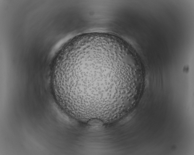 X0000110701406200906261357
