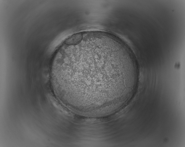 X0000110701407200906261357