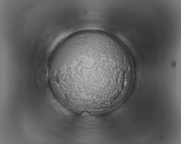 X0000110701408200906261357